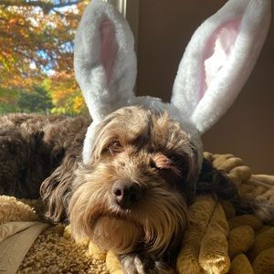 Meet your Posher, Ruby